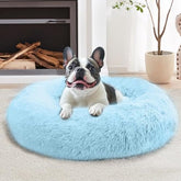 JOLLYVOGUE calming dog bed round setup highlights cozy comfort for kittens and puppies.