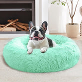 JOLLYVOGUE calming donut bed mint green top view for cozy resting