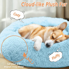 JOLLYVOGUE calming-donut-bed rolled-edge view highlights head and neck support.