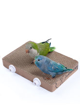 JONS NTY 12.3-inch paper bird toy platform provides a sturdy perch and resting spot.