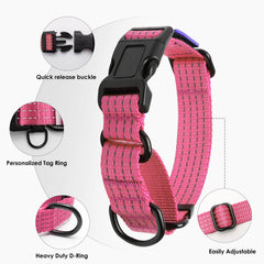 JOOCPUP martingale collar heavy-duty nylon and hardware withstand daily use during outdoor adventures