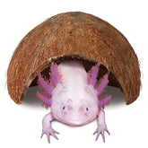 JOR Axolotl Cave coconut shell hideout offers private retreat for axolotl