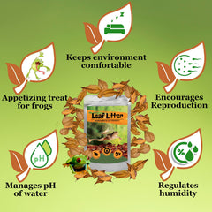 JOR leaf litter humidity setup demonstrates moisture-retaining substrate for terrariums