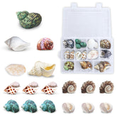 JOR Hermit Crab Shells 17-piece set provides varied homes for enriched habitats