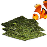 JOR seaweed sheets 20-pack for tangs enables steady grazing in community tanks.