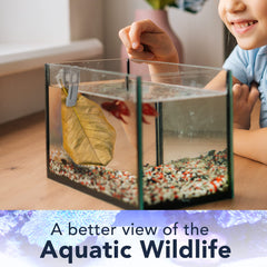 JOR Veggie clip secures lettuce for fish enrichment and nibbling