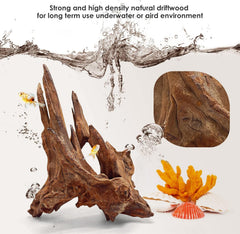 Jorewood driftwood low-tannin piece helps clearer water