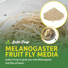 Josh's Frogs melanogaster fruit fly media ingredients close-up with vitamins and color enhancers.