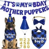 JOTFA dog birthday bandana in blue plaid enhances festive photos and party vibes.