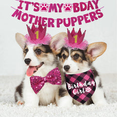 JOTFA dog birthday hat pink adds festive flair to celebrations