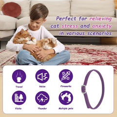 Journeward pheromone technology highlights relaxed posture for calmer, stress-free cats.