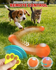 Jovrun Ball motion-activated LED lights attract pets during active play sessions