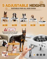 Jovrun stainless-steel dishes provide durable, dishwasher-safe dining for pets.