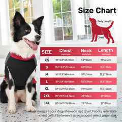 JoyDaog coat shows two D rings for secure leash attachment during adventures.