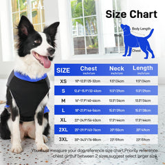 JoyDaog D-rings back view illustrating secure leash attachment