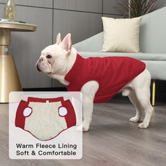 JoyDaog leash hole at neck supports secure outdoor walks