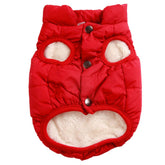 JoyDaog fleece-lined interior keeps your dog warm during winter walks