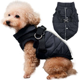 JoyDaog dog jacket with harness front view shows secure winter fit
