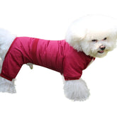 JoyDaog fleece-lined dog coat with hood keeps small dogs warm during winter walks.