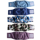 JoyDaog belly band L full view demonstrates secure fit for male dogs to prevent leaks.