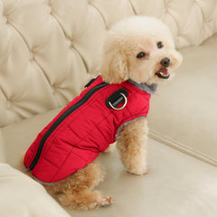 JoyDaog waterproof fabric protects small dogs in light rain