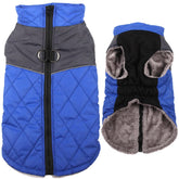 JoyDaog warm fleece coat blue L, front view for cozy winter walks and warmth