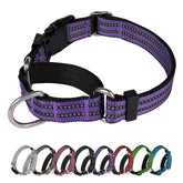 Joyeeiioo Martingale dog collar purple closeup showing adjustable fit