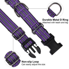 Joyeeiioo Martingale dog collar with reflective threads for night visibility