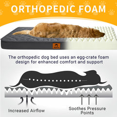 JoyPetto Cozy Dog Bed fits standard crates for secure lounging.