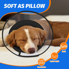 Joypig dog cone six-size adjustable demonstrates versatile fit for dogs.