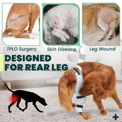 Joypig dog rear leg sleeve shows soft, breathable fabric for all-day comfort.
