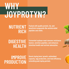 Joyprotyn BSFL calcium-rich powder near scoop suggesting stronger eggshells