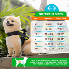 Joyride Harness 2.0 adjustable-fit strap ensures snug comfort.