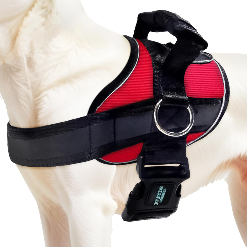Joyride Harness 2.0 side-ring no-pull design for calmer walks and easy control.