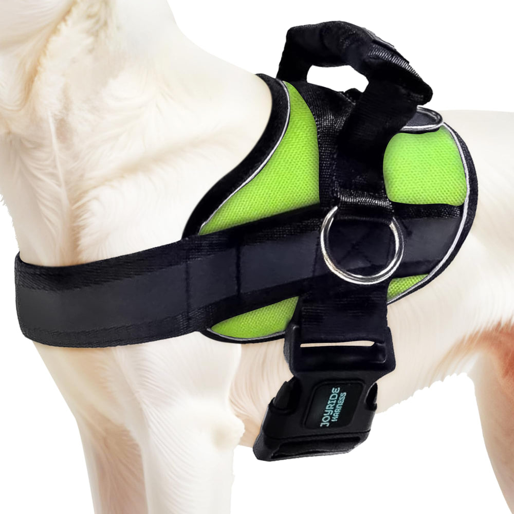 Joyride Harness 2.0 side-ring on dog chest for calm, no-pull walks.