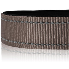 Joytale-adjustable-neck-collar-large-dogs secure fit for growing XL breeds.
