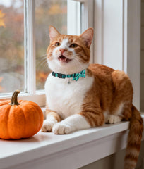 Joytale cat collar teal bell shows audible cue to locate your cat indoors or outdoors