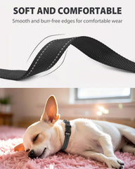 Joytale delta-ring securely attaches leash and ID tags for daily use.