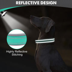 Joytale dog collar D-ring leash attachment teal for secure leashes