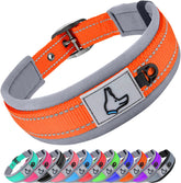 Joytale Dog Collar Large with Neoprene Padding delivers comfy wear for long walks.