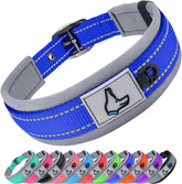 Joytale dog collar with neoprene padding in navy blue for comfortable daily wear.