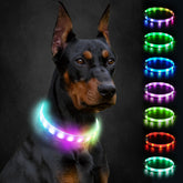 Joytale dog collar night-walk visibility boosts safety during dusk and night strolls.