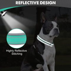 Joytale teal collar heavy-duty buckle for secure leash attachment.