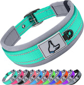 Joytale teal padded dog collar, medium size, comfortable padding with quick-dry, odor-resistant design.