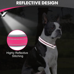 Joytale double-layer webbing collar withstands strong pulls during play