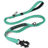 Joytale heavy-duty dog leash with frog clip for secure quick-release control.