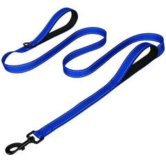 Joytale heavy-duty dog leash traffic control close-up, dual handles for crowd-free passing.