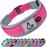 Joytale hotpink dog collar with neoprene padding for comfortable daily walks.