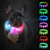 Joytale light up dog collar glows for safer night walks.