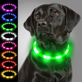 Joytale Light Up Dog Collar glowing at night for safer walks.